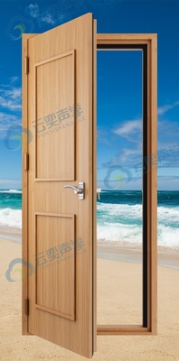 Acoustic Steel Door For  Mall  Standard Cinema  Acoustic Cladding Works