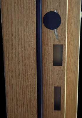 Pintu tahan api akustik baja kedap suara tertutup 40db interioror Pintu akustik baja
