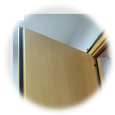 Bioskop, Koncert Hall kualitas baik pintu baja tahan api pintu kedap suara pintu dengan sertifikat kedap suara